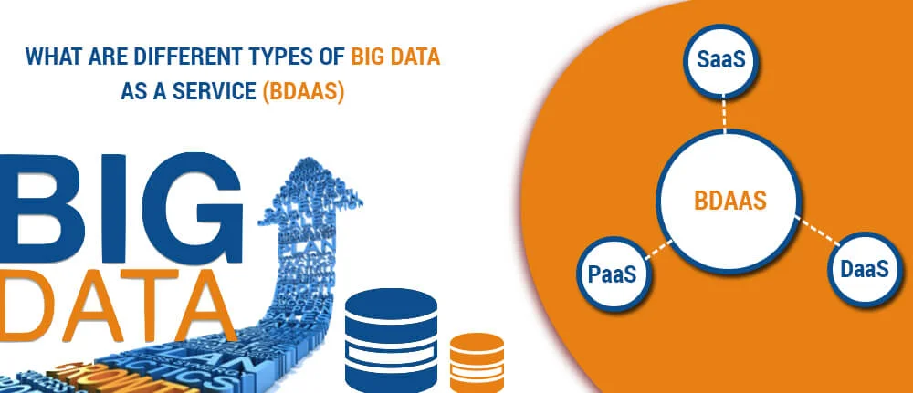 What are different types of Big Data as a Service (BDaaS)